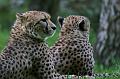 Zoo Schmiding 033